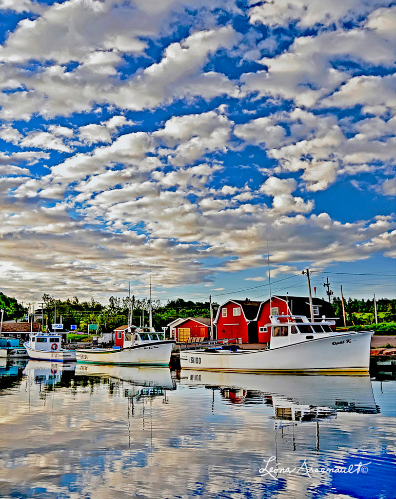 Stanley Bridge, PEI - Reflective Reflection