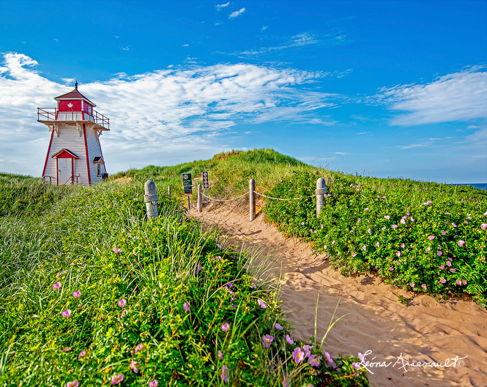 Covehead Lighthouse, PEI - Dune Path