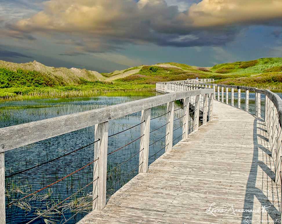 Greenwich, PEI - Boardwalk Over Wetlands