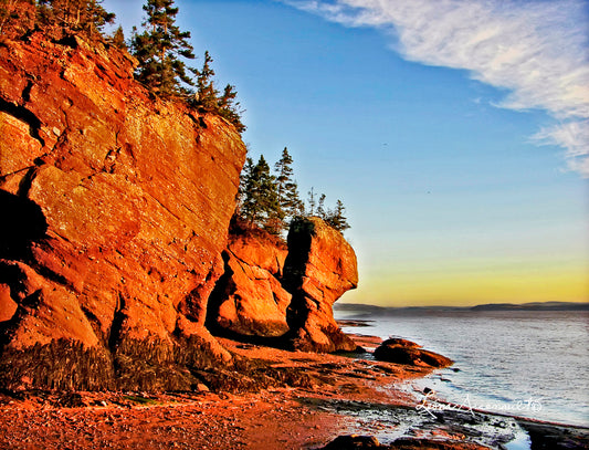 Hopewell Rocks, NB - Sunrise Glow