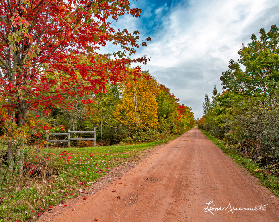 Cape Egmont, PEI - Red Road