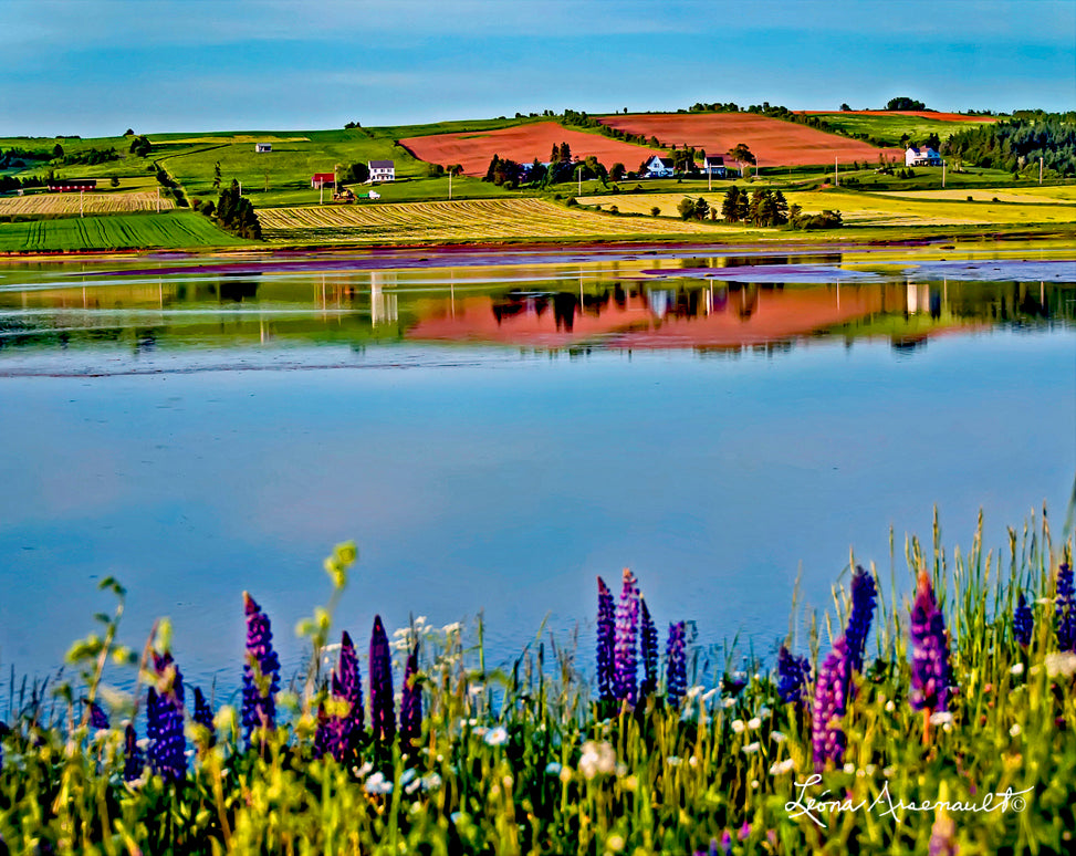Victoria-by-the-Sea, PEI - Tidal Inlet