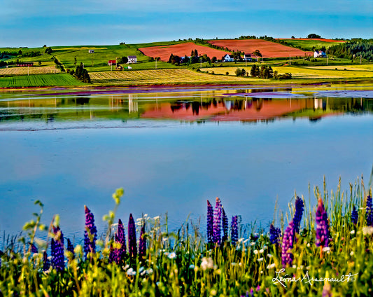 Victoria-by-the-Sea, PEI - Tidal Inlet